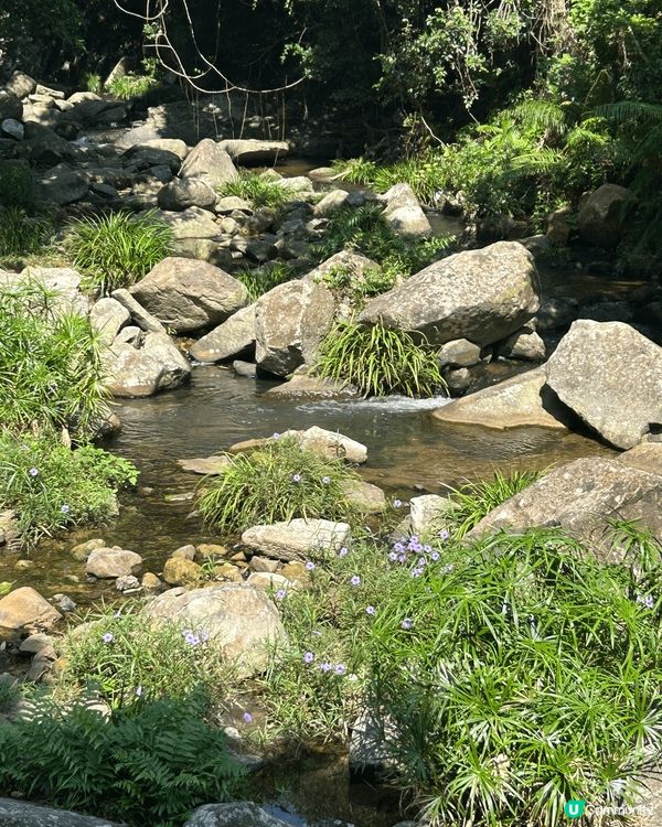 將軍澳小夏威夷行山，有山有小瀑布，有山有水有花花草草