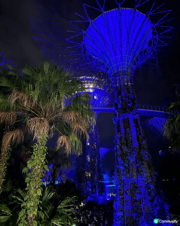 美食介紹， 去到北海道日本必吃夕張蜜瓜