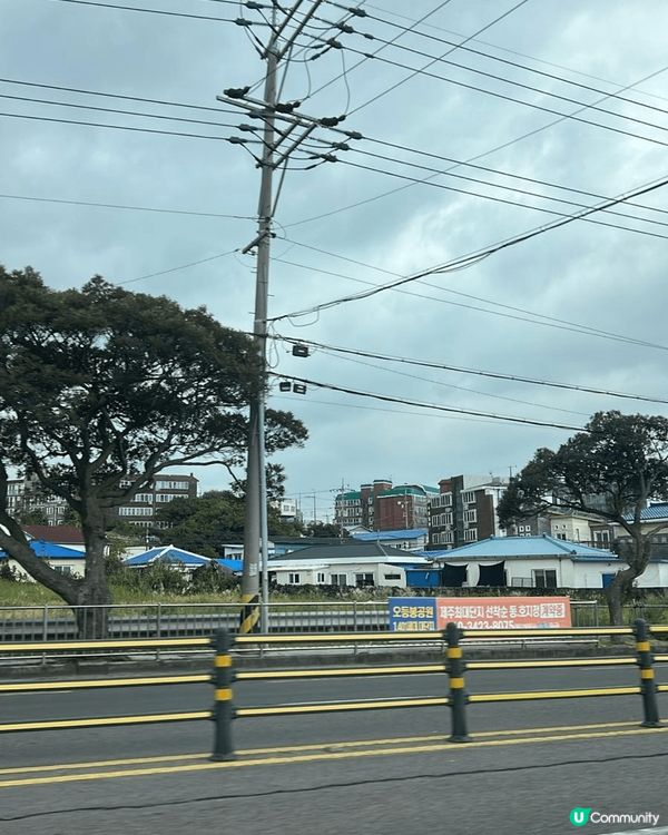 這是韓國濟州的風景，空氣十分之清新涼快，來韓國一定要來