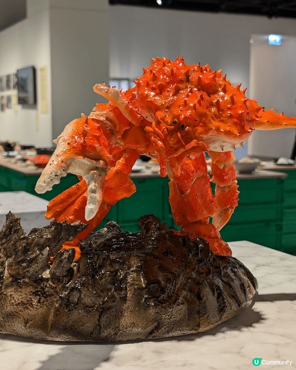 在英國的Japan House，展覽了食物模型，還有茶室可享...