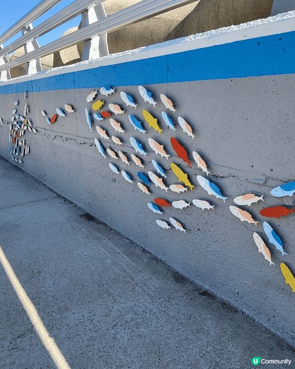 釜山旅遊必去●甘川文化村 及 ●白淺灘文化村，超多打卡位😍...