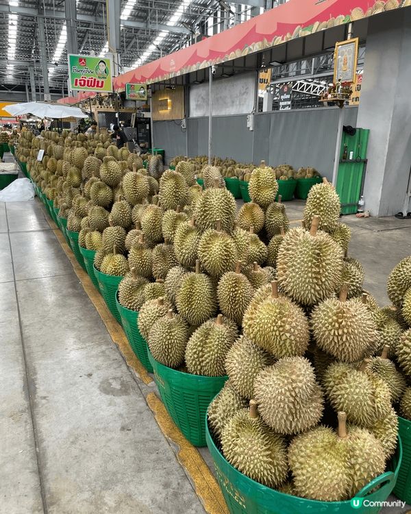 榴連是大多數香港人喜歡的水果之一，泰國旅行第一站去當地最大的...