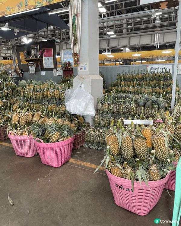 榴連是大多數香港人喜歡的水果之一，泰國旅行第一站去當地最大的...