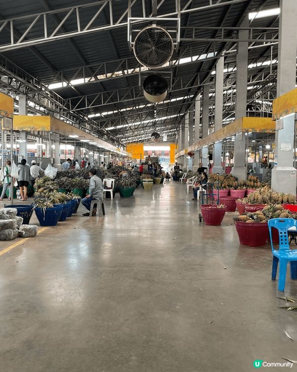 榴連是大多數香港人喜歡的水果之一，泰國旅行第一站去當地最大的...