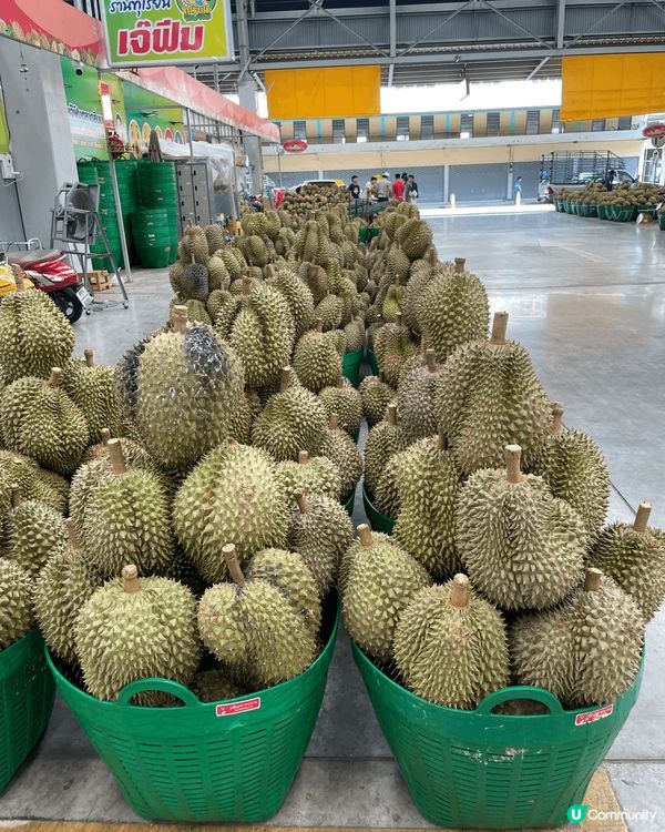 榴連是大多數香港人喜歡的水果之一，泰國旅行第一站去當地最大的...