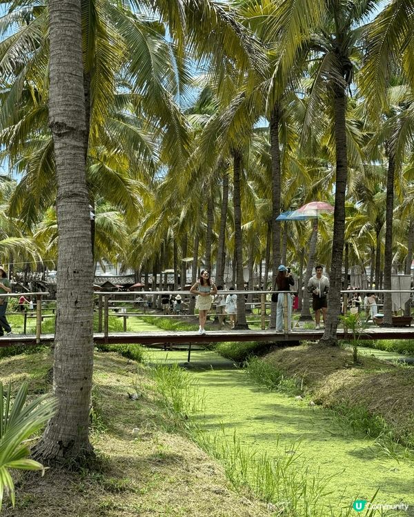 為清邁叢林市集，於每星期六日開。常中有自家品牌小食，手作，飲...