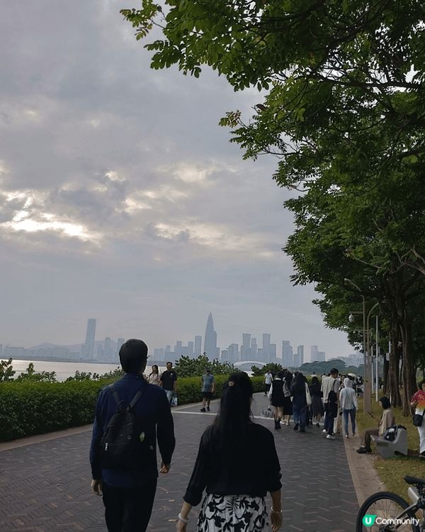 在國內深圳灣公園,使用美團租單車,就可以過一個非常悠閒的下午...