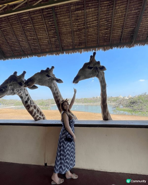 雖然湊住個小朋友但係都唔影響我鍾意去旅行周圍去玩嘅心.每隔兩...