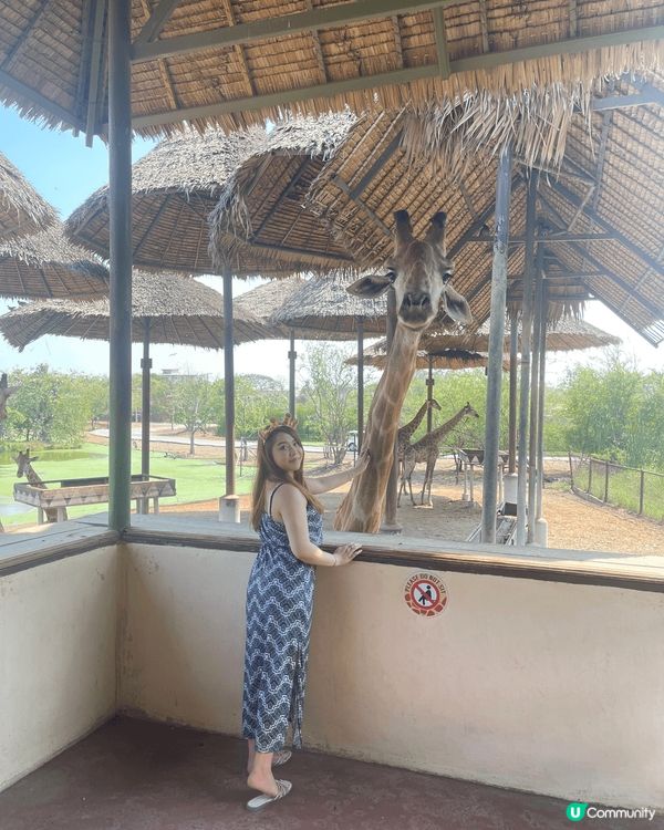 雖然湊住個小朋友但係都唔影響我鍾意去旅行周圍去玩嘅心.每隔兩...