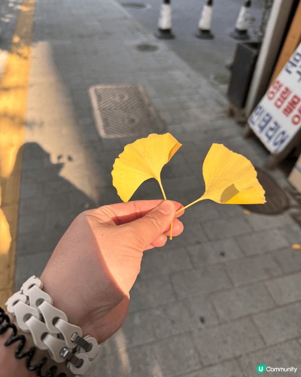 留倩影之秋天開心Korea 遊….美食多籮籮