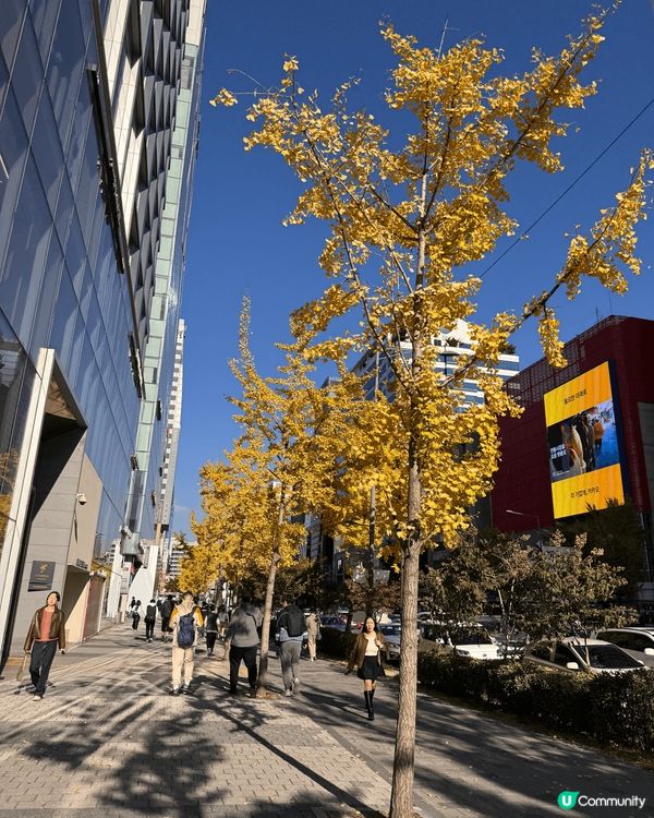 留倩影之秋天開心Korea 遊….美食多籮籮