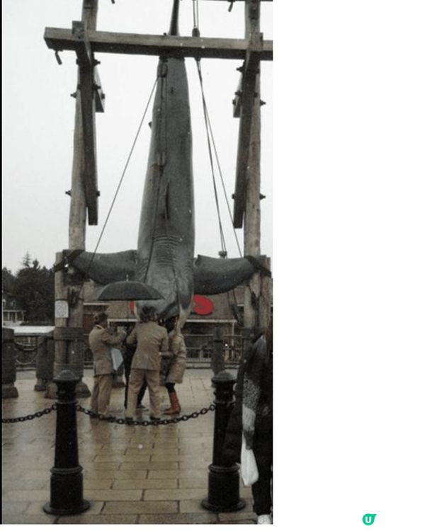 去大阪旅行, 一定要去環球影城玩個痛快, 除了最新的任天堂世...