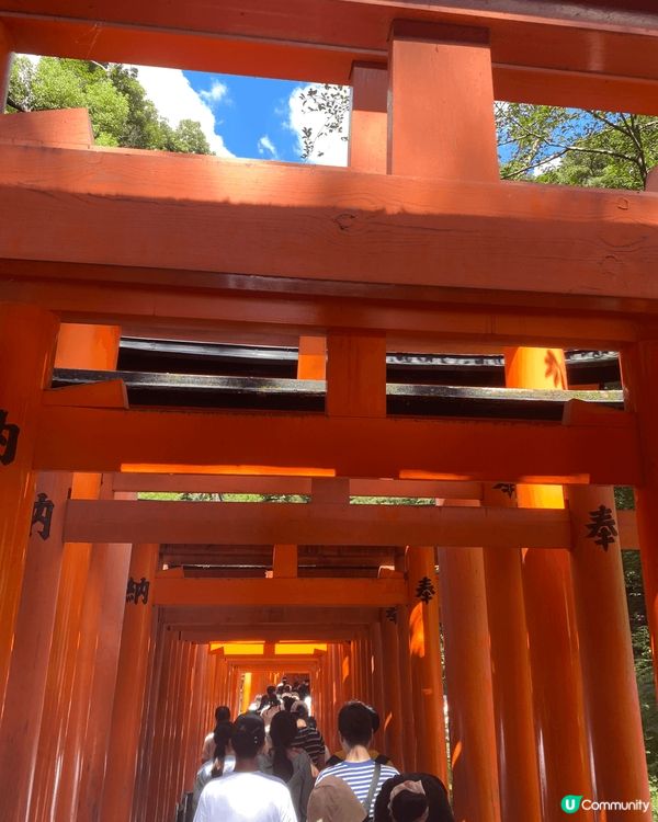 大阪伏見稻荷，一定唔可以唔去啦！