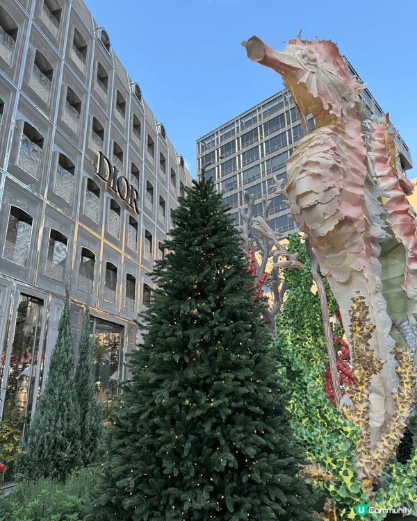 南韓聖水洞是去首爾旅行的必選地標 。打卡點包括名氣非凡的Di...