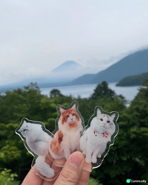 日本自由行 ，如果河口湖睇唔到富士山，就直上富士山五合目，咁...