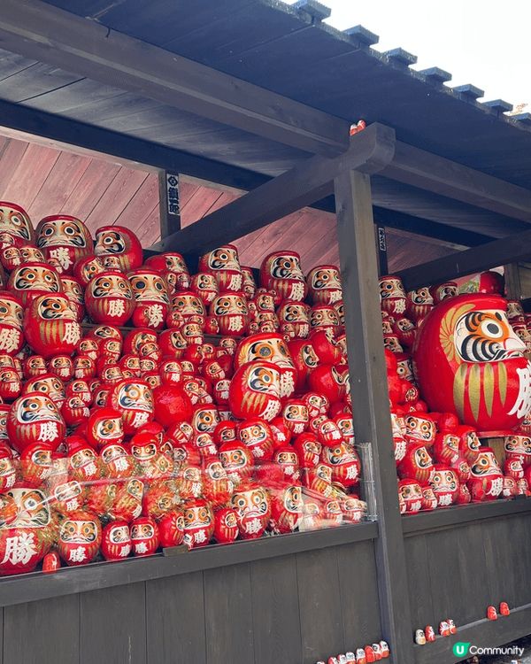 勝尾寺到處都是達摩達摩達摩達摩達摩達摩達摩達摩達摩達摩！