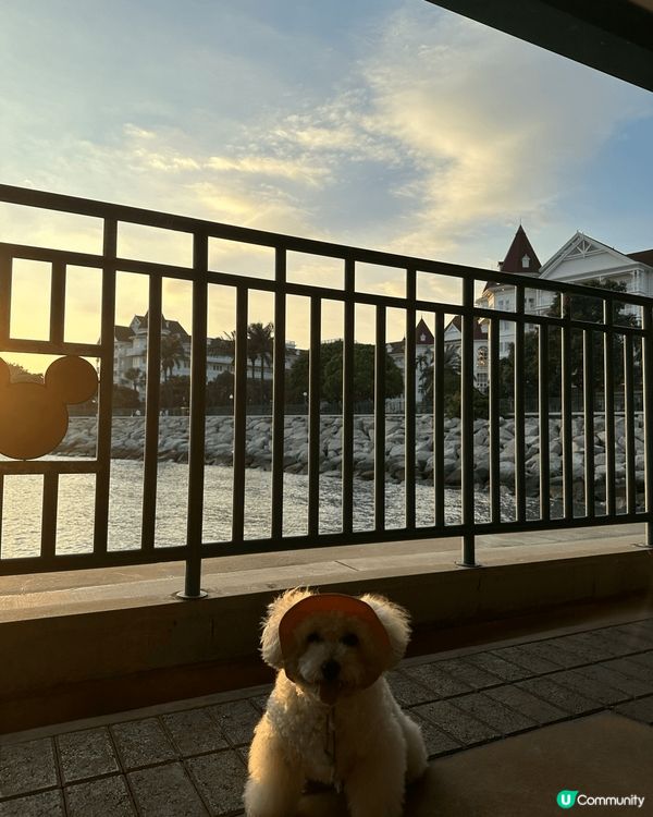 大家好，我叫Luka，媽咪同其他屋企人都會叫我Lulu。媽咪...