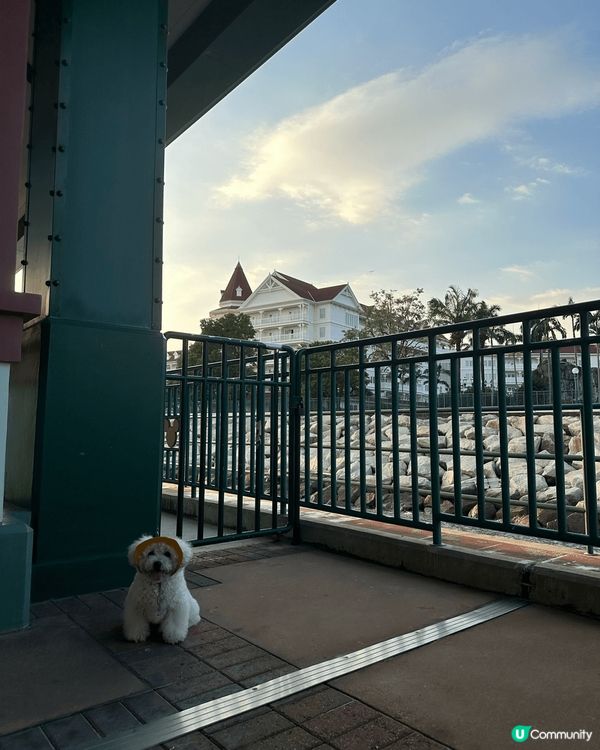 大家好，我叫Luka，媽咪同其他屋企人都會叫我Lulu。媽咪...