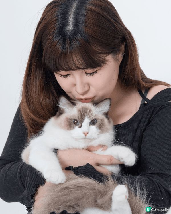 第一次帶米豬去studio影相😇🥳佢好百厭周圍走