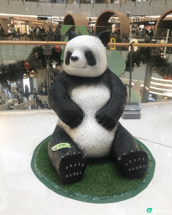 位於MOKO的熊貓展，是熊貓經濟的一個組成部分！各個精緻的熊...