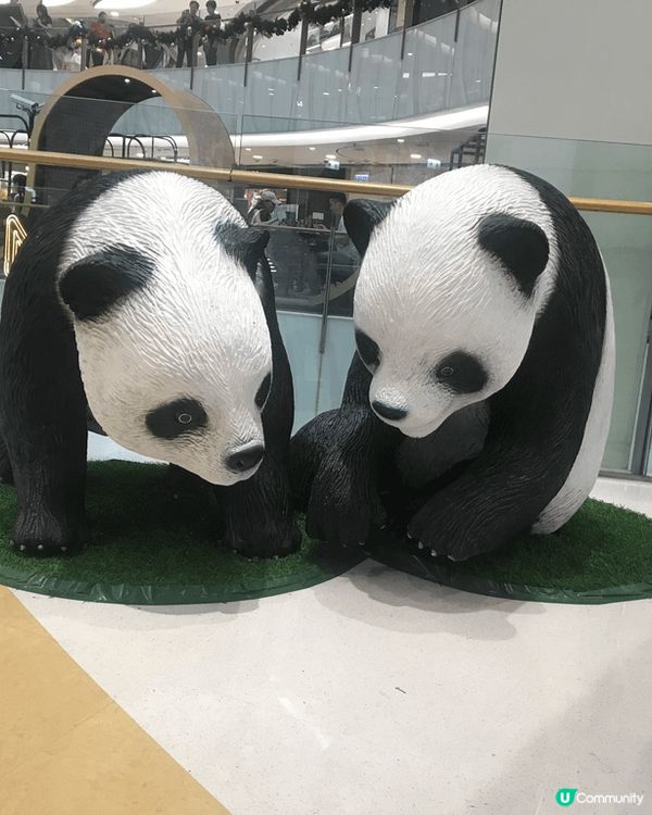 位於MOKO的熊貓展，是熊貓經濟的一個組成部分！各個精緻的熊...