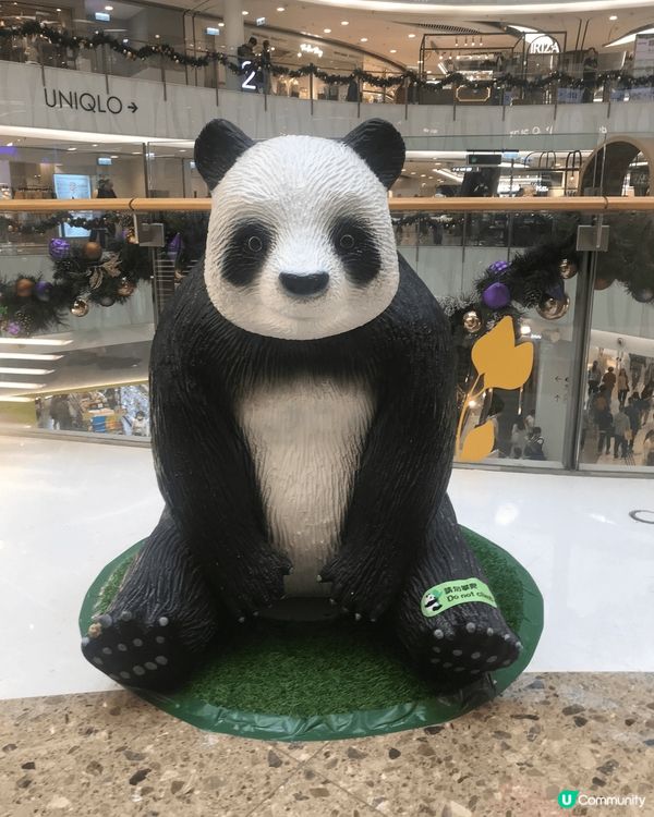 位於MOKO的熊貓展，是熊貓經濟的一個組成部分！各個精緻的熊...