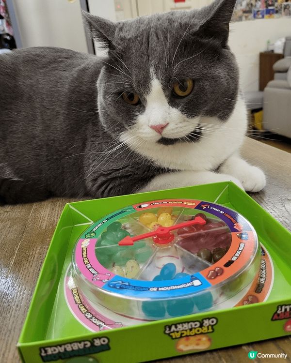 介紹返呢隻～霸王凍干桶～ 又大桶又抵買， 一桶內有齊睇貓貓需...