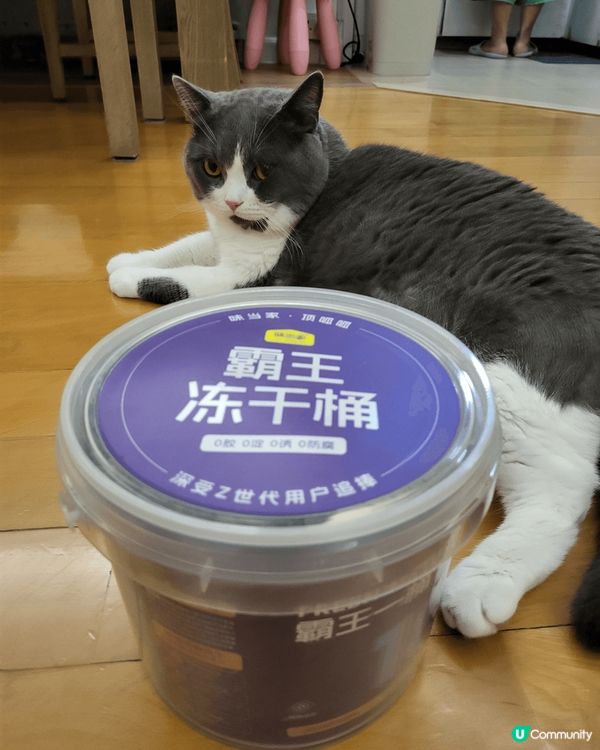 介紹返呢隻～霸王凍干桶～ 又大桶又抵買， 一桶內有齊睇貓貓需...