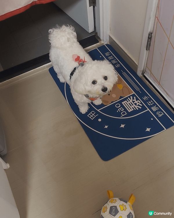 我哋最鍾意出街，同媽媽周圍去，玩到幾污糟都唔會抗拒沖涼ga