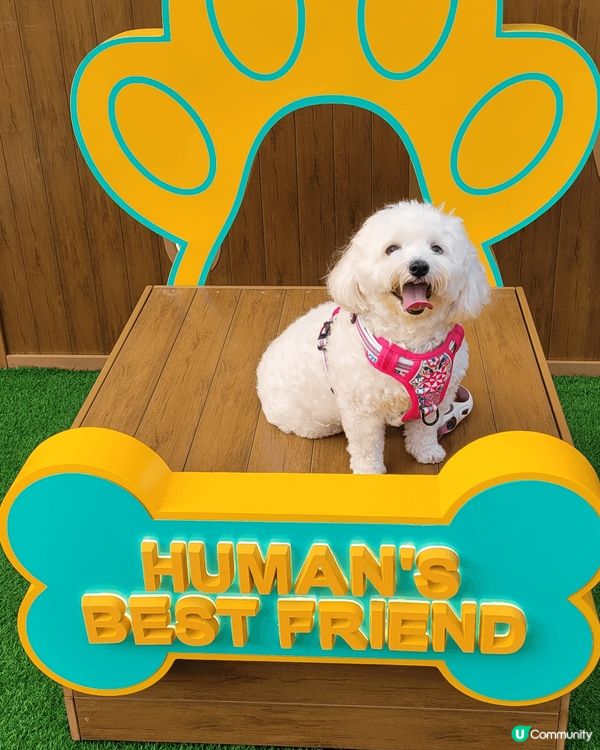 我哋最鍾意出街，同媽媽周圍去，玩到幾污糟都唔會抗拒沖涼ga