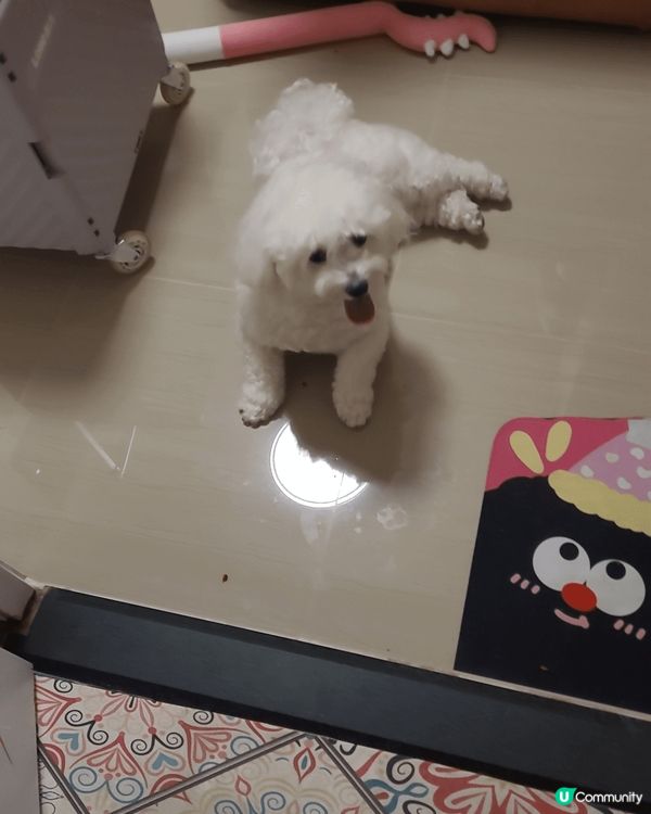 我哋最鍾意出街，同媽媽周圍去，玩到幾污糟都唔會抗拒沖涼ga