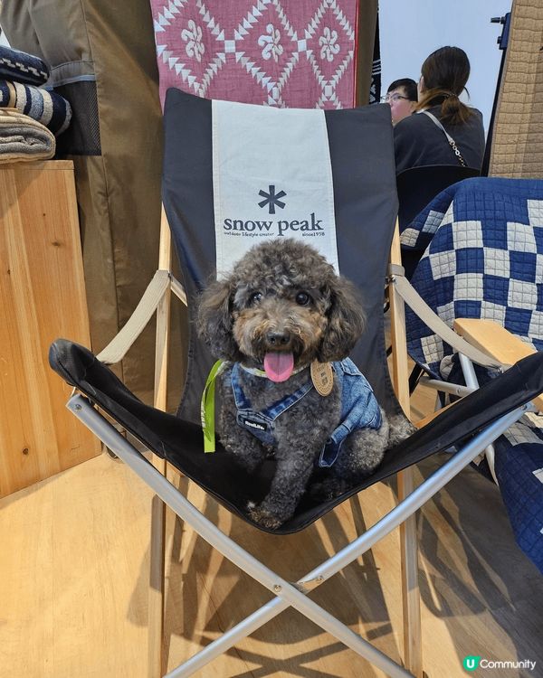 啟德airside毛孩火炬手活動