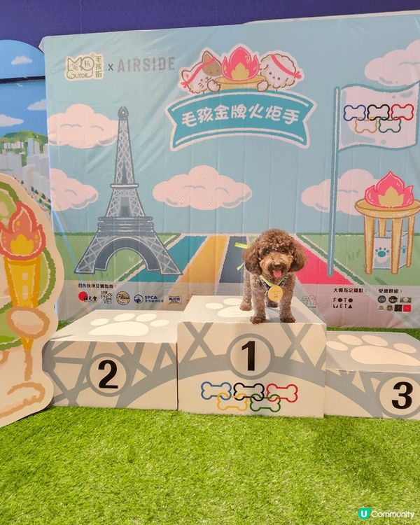啟德airside毛孩火炬手活動