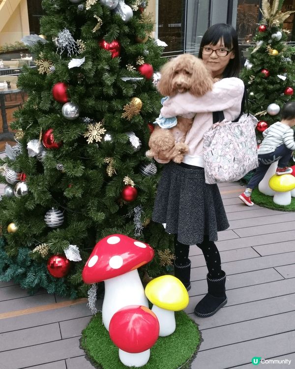 就快聖誕節啦，各大商場已經有聖誕佈置了