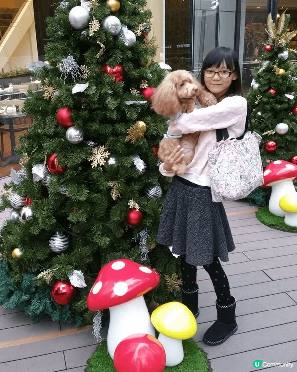 就快聖誕節啦，各大商場已經有聖誕佈置了