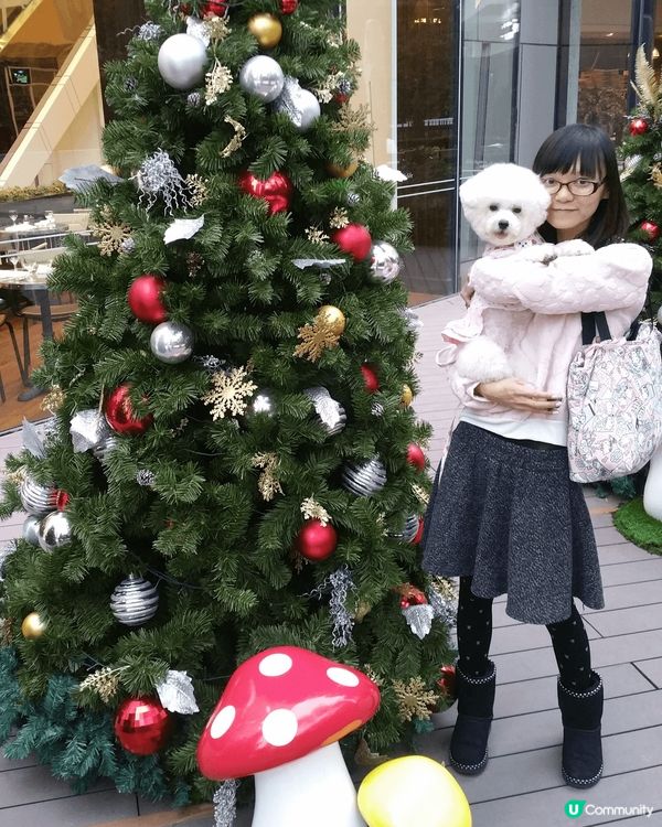 就快聖誕節啦，各大商場已經有聖誕佈置了