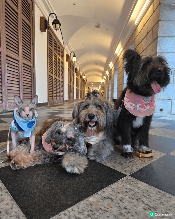 第一同第二張都係喺赤柱美利樓度影，第三張係赤柱海滂
