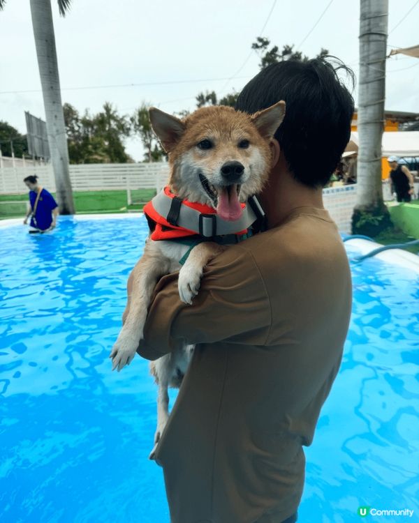 元朗happy park 人同狗仔都岩玩既水上樂園 好多打卡...