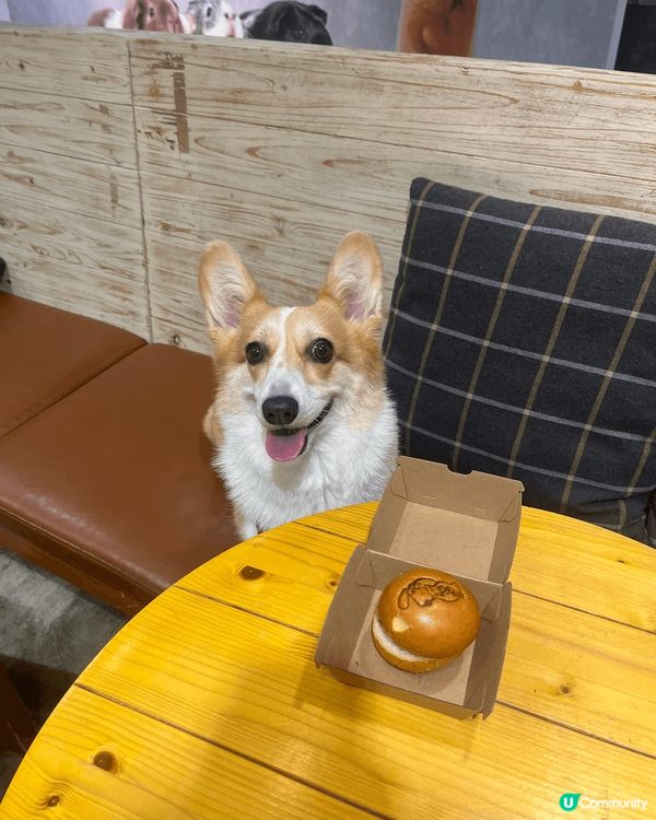 鍾意戶外活動又鍾意食野嘅豆腐 早排著住shark life ...