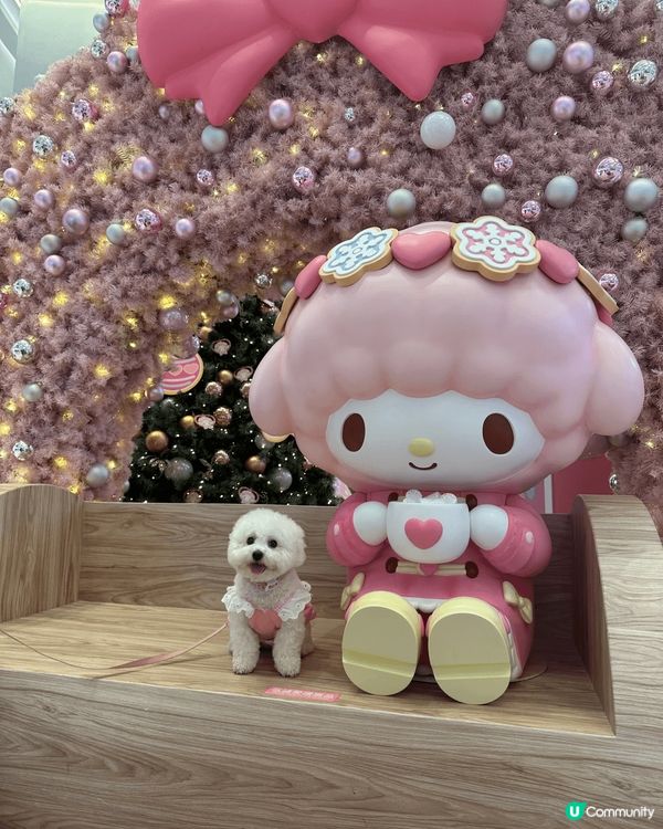 大家好～我叫林滋滋，今年1歲半。好中意同媽咪周圍去同影相，我...