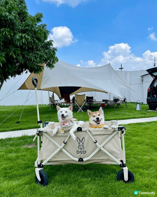 相片係同芒果，糯米糍露營，去南生圍，行山嘅相。放假鍾意同佢哋...