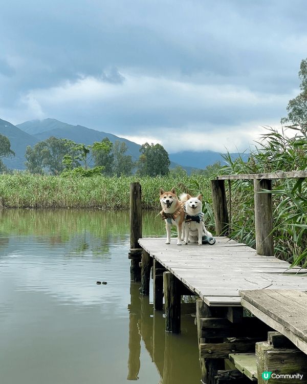 相片係同芒果，糯米糍露營，去南生圍，行山嘅相。放假鍾意同佢哋...