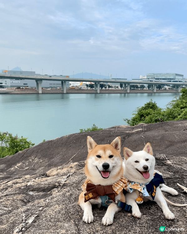 相片係同芒果，糯米糍露營，去南生圍，行山嘅相。放假鍾意同佢哋...