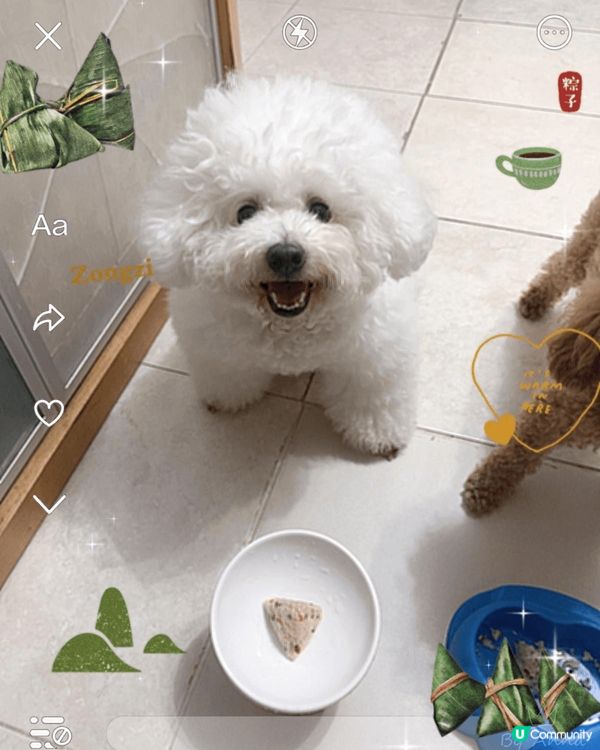 我既愛犬叫芭比，經常都要嘈住出街玩，係個非常貪玩嘅小寶貝。