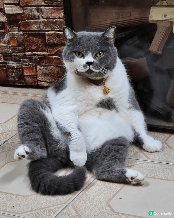 @@@@@@@@@@屋企日常@@@@@@