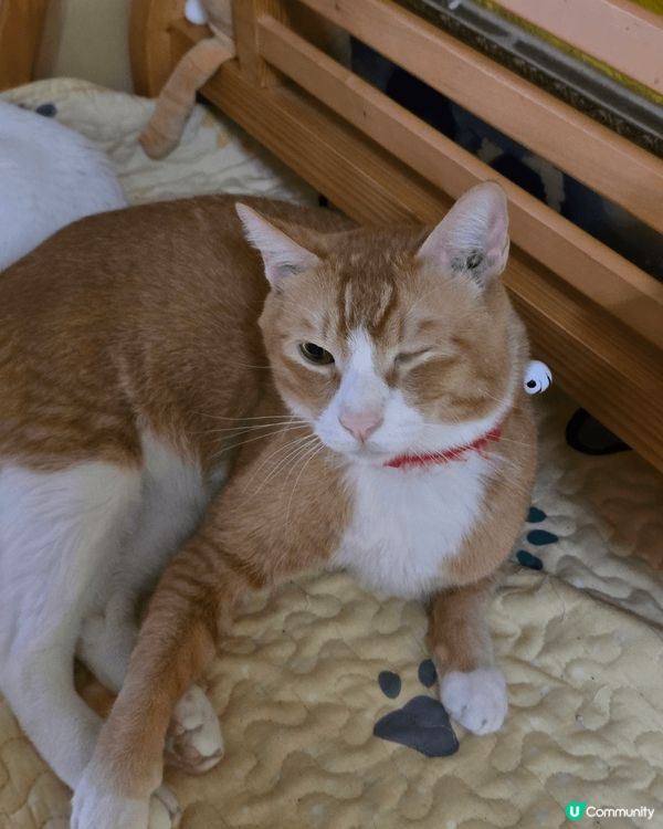 @@@@@@@@@@屋企日常@@@@@@