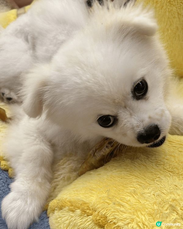 呢啲天氣更係去西九龍海濱，赤柱海旁放下電喇. 呢2個地方冇咩...