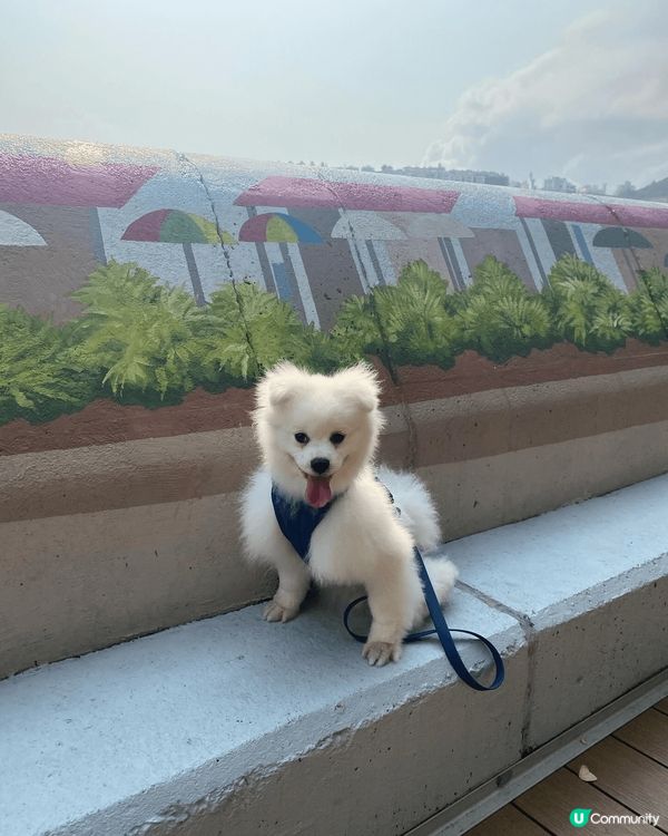 呢啲天氣更係去西九龍海濱，赤柱海旁放下電喇. 呢2個地方冇咩...