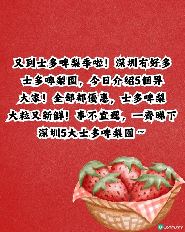 深圳士多啤梨園5大推介🍓3萬平方米/低至¥35/斤‼️新鮮又大粒😋