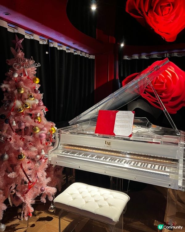 位於蘭桂坊的豪華法西料理~